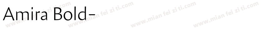 Amira Bold字体转换